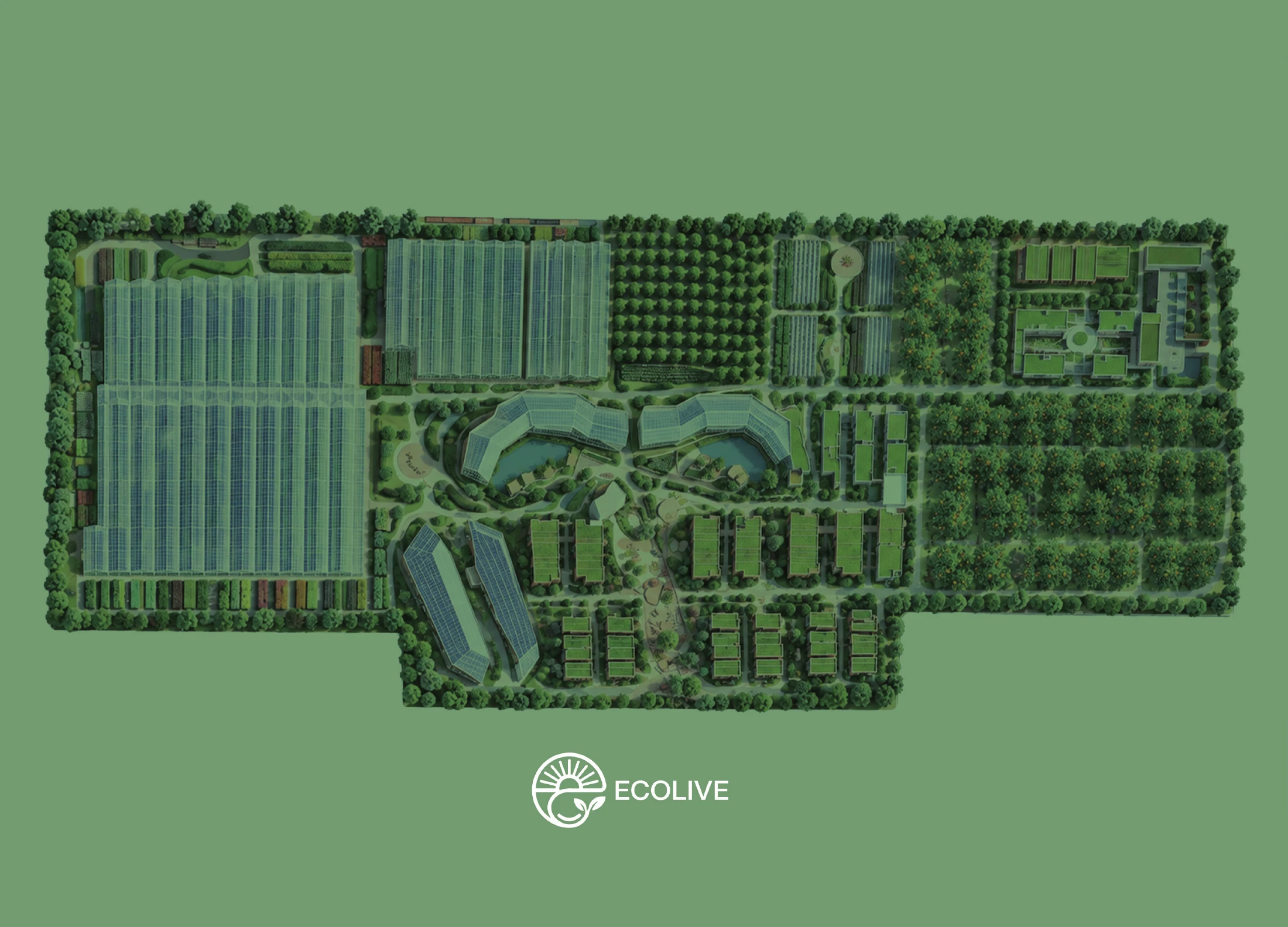 ECOLIVE kampüsünün kuşbakışı kavramsal yerleşimi